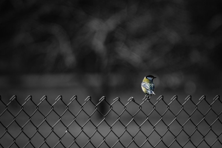 DSC_8652.jpg