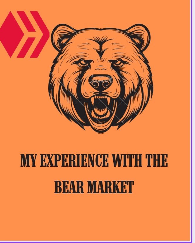 My Experience With The Bear Market 