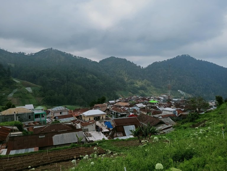 rumah penduduk.jpg