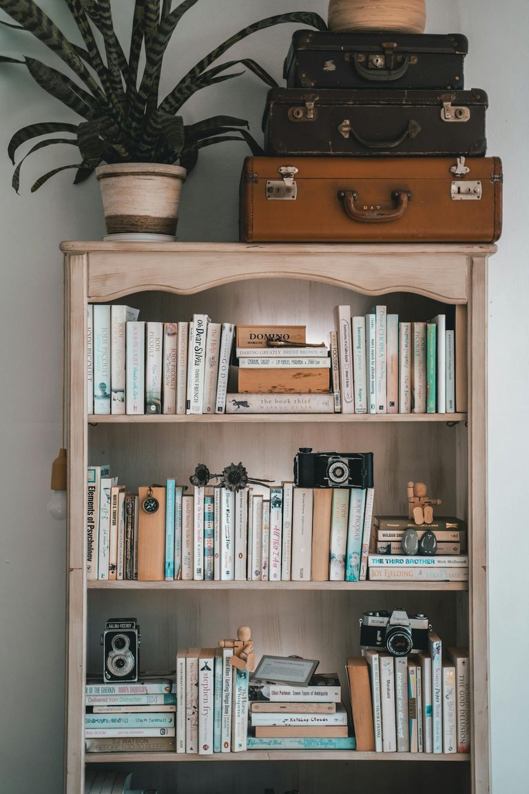 pexels-taryn-elliott-4440123.jpg