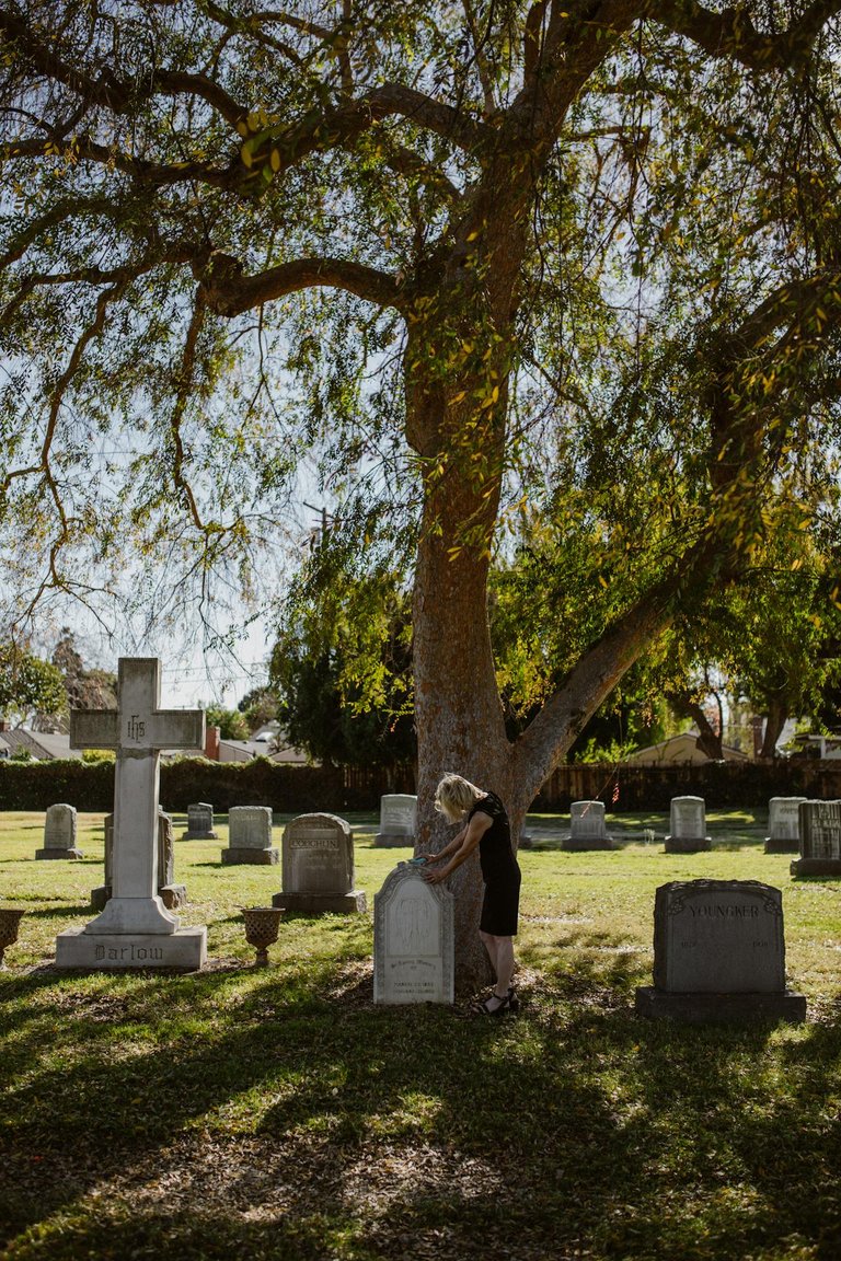 pexels-rdne-6841556.jpg