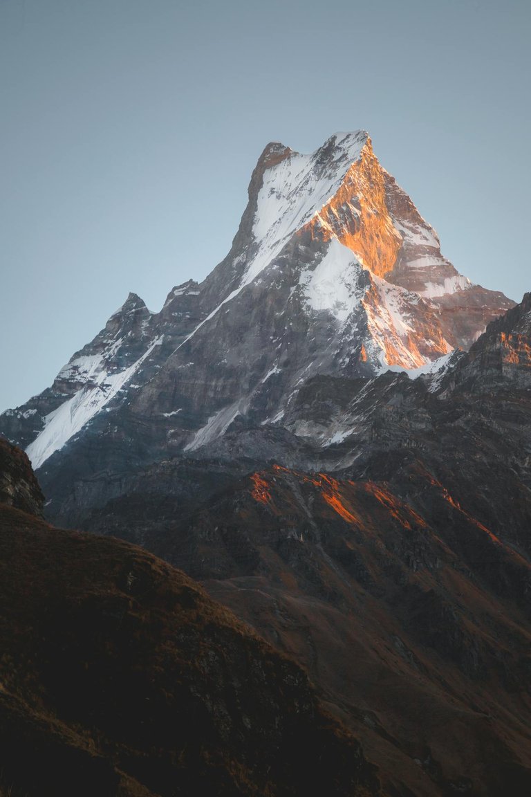 pexels-ashokjkshetri-4032145.jpg