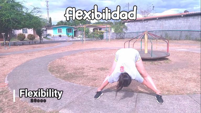 flexibilidad.png