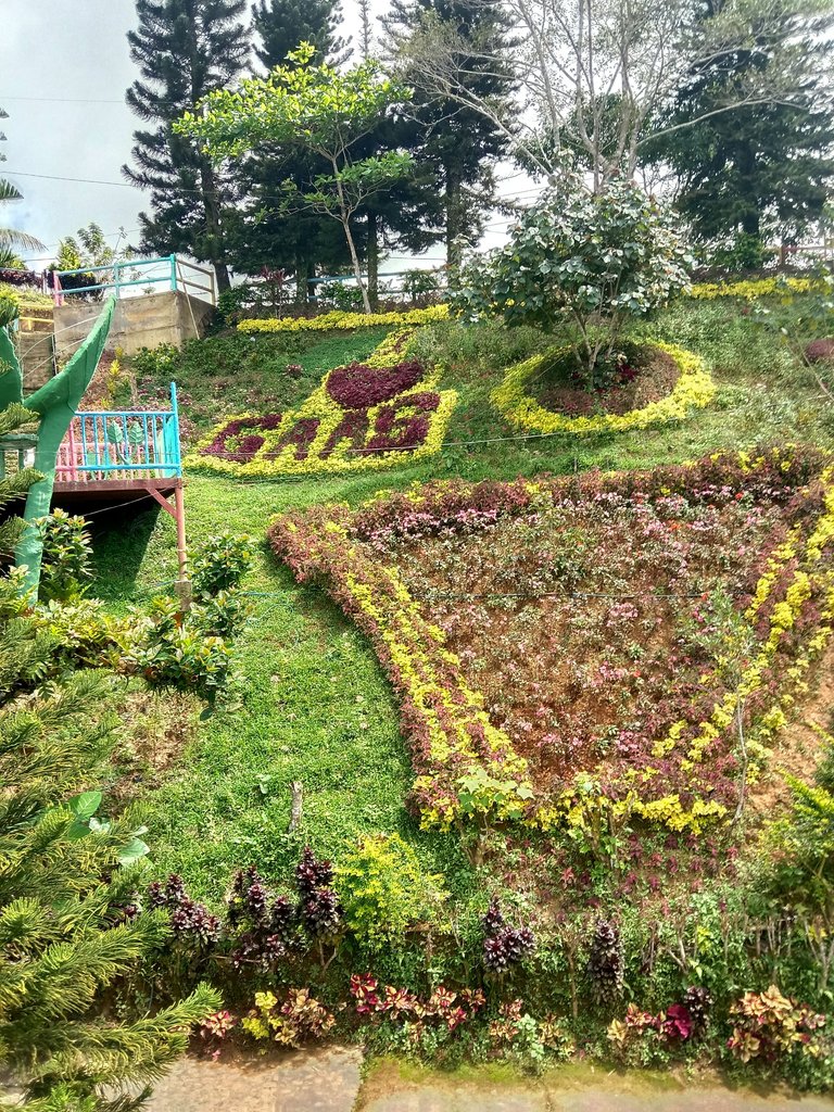 IMG_20211106_115653.jpg