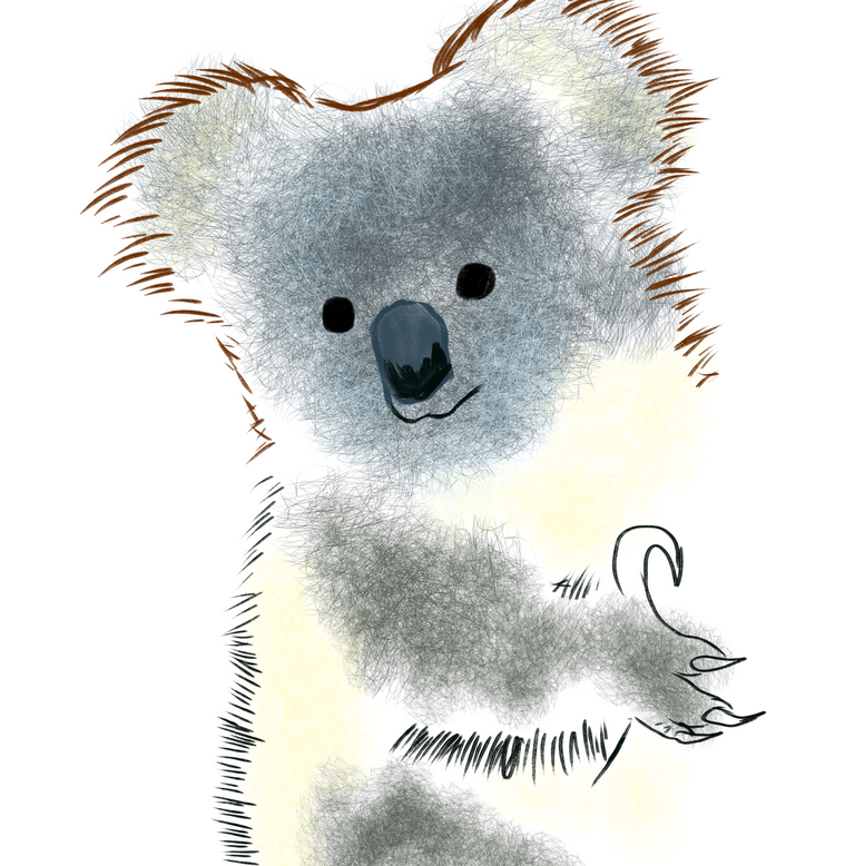 Koala 02.png