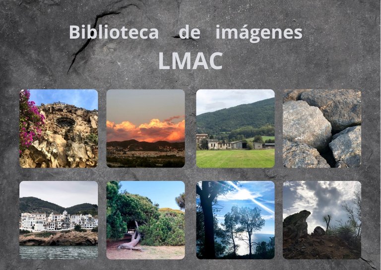 Biblioteca de imágenes LMAC (4).jpg