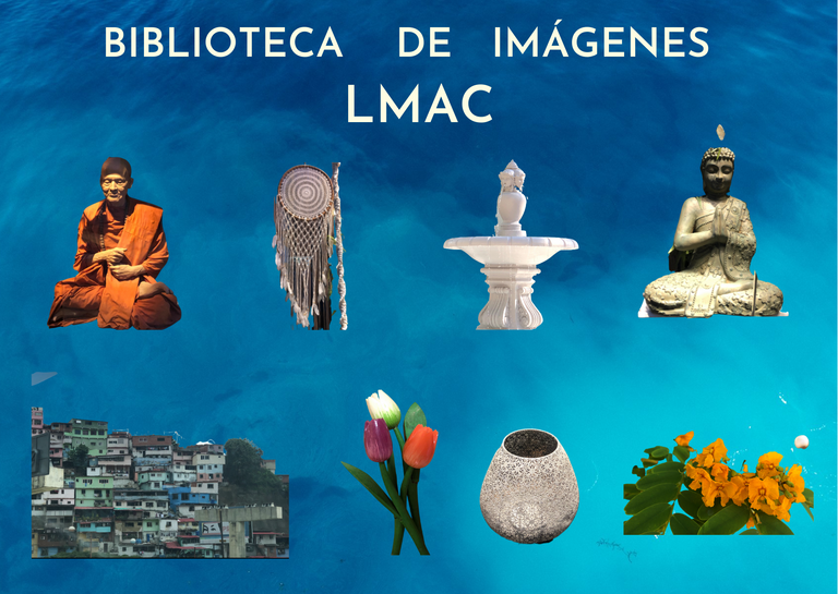 Biblioteca de imágenes LMAC (3).png