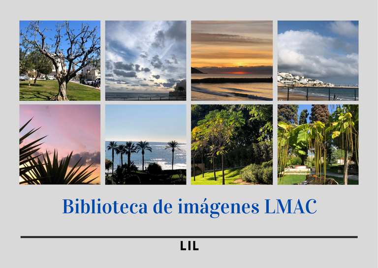 Biblioteca de imágenes LMAC (14.8 x 10.5 cm) (14.8 x 10.5 cm) (9).png