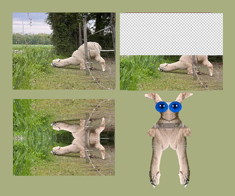 1.PNG