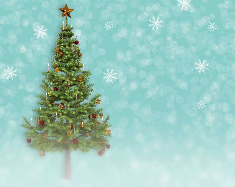 christmas-tree-6869463_1920.jpg