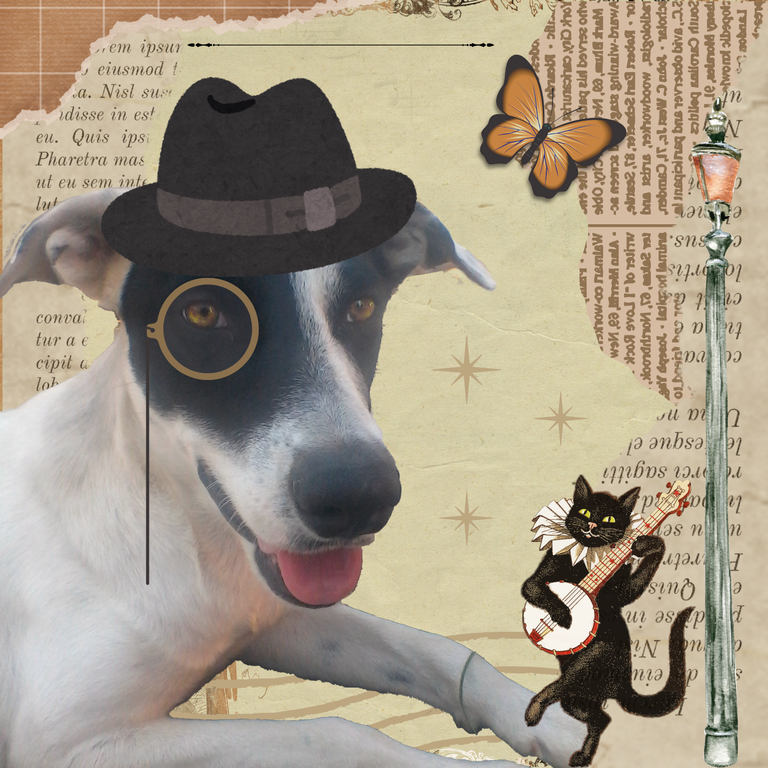 by eve66 animal Charity3.png