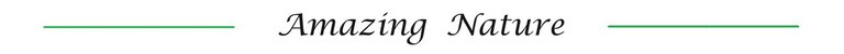 3W72119s5BjVs3Hye1oHX44R9EcpQD5C9xXzj68nJaq3Ce7oSuqFzJKHvCUGkA8eHQACmJL9zQB8MzKt9BYpwAuRhayontSxmqeQtmKSJ7pGT4N2kab6Wa.jpeg