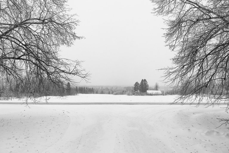 winterwonderland_talvi_lumi_snow_landscape10.jpg