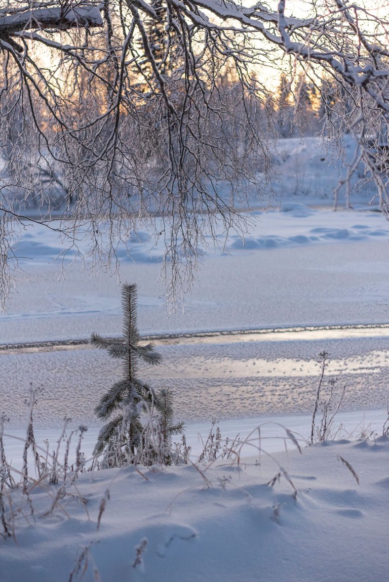 winterwonderland_finland_northostrobothnia_kylä07.jpg