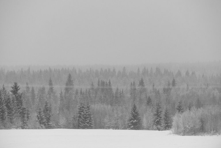 winterwonderland_talvi_lumi_snow_landscape08.jpg