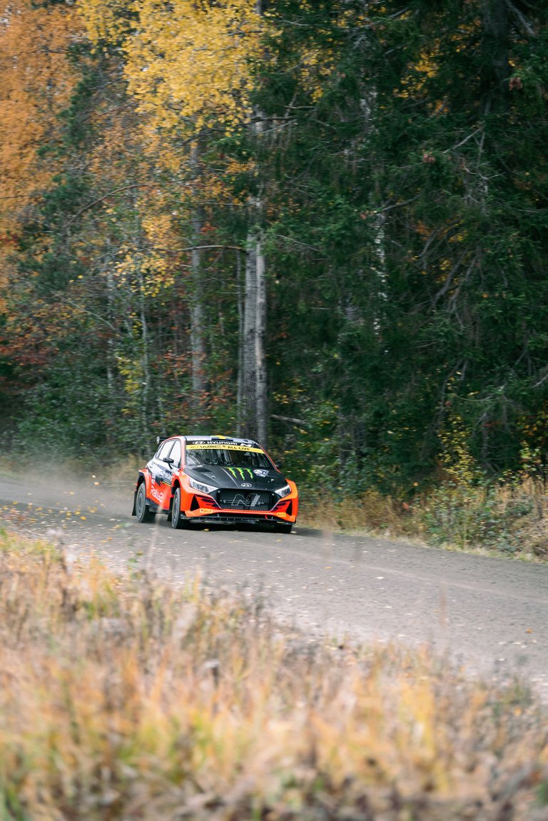 !03rallyfinland_autumn_rally.jpg