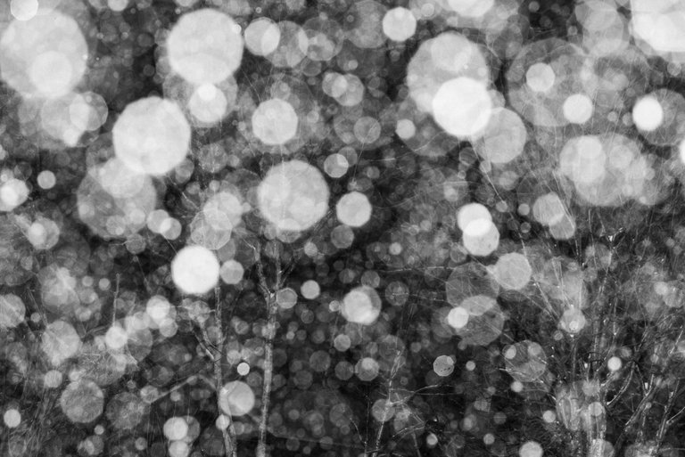 lumi_snow_inferno_ansel_ridge_lumihiutale_snowflake_dots_bokeh06.jpg