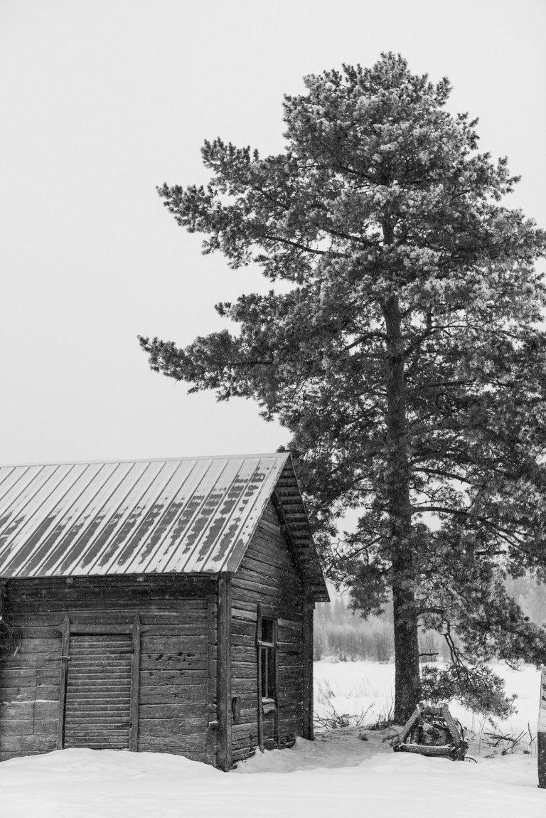 winterwonderland_talvi_lumi_snow_landscape02.jpg