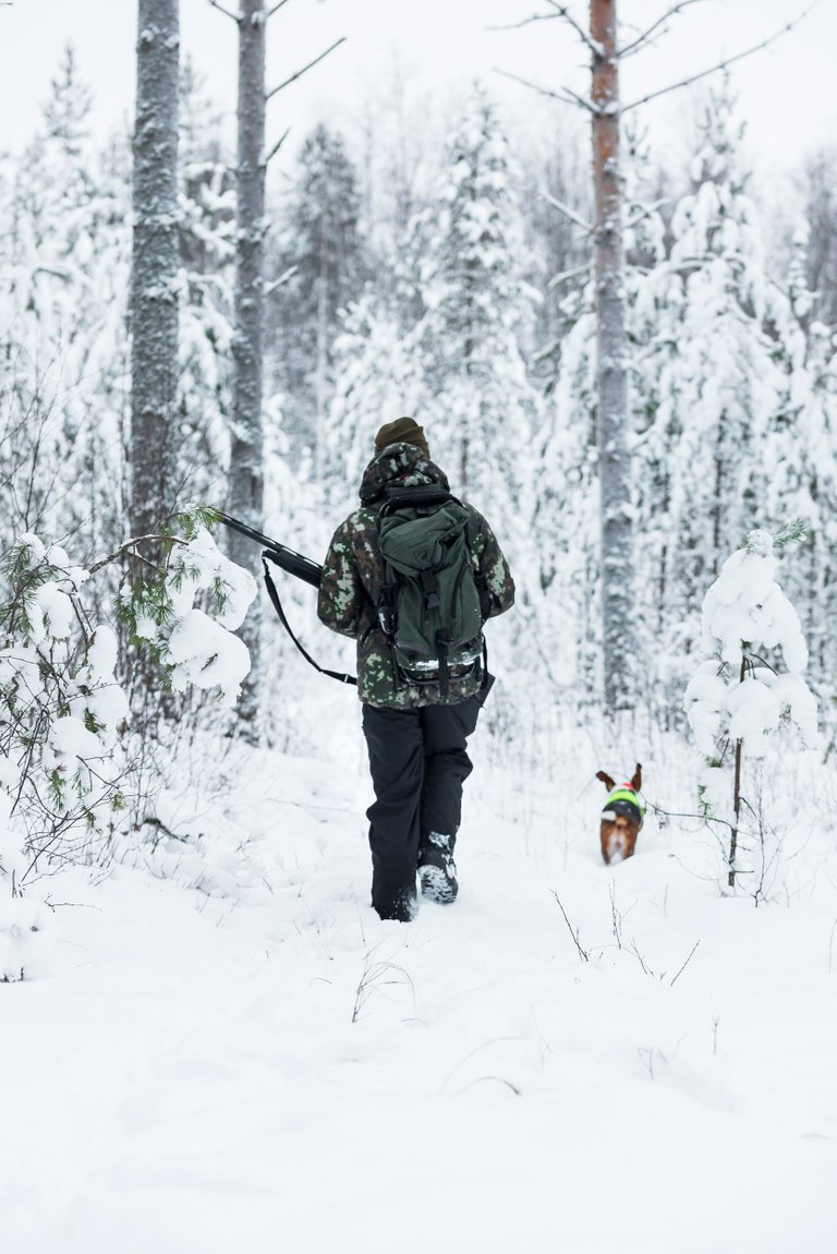 metsä_winter_wonderland_talvi_lumi_liminka06.jpg