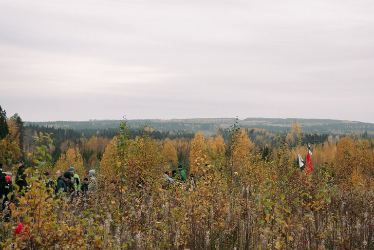 !07rallyfinland_autumn_rally.jpg