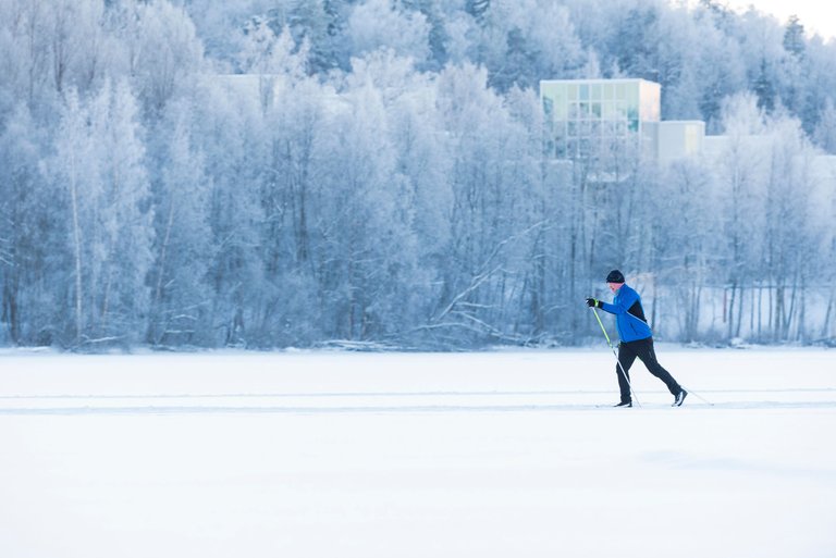hiihtäjä_hiihto_crosscountryski_jyväsjärvi_jää_talvi_winter_wonderland_snow_ice_kuura_frost06.jpg