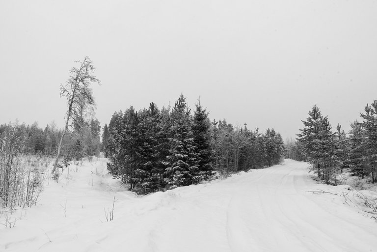 winterwonderland_talvi_lumi_snow_landscape05.jpg