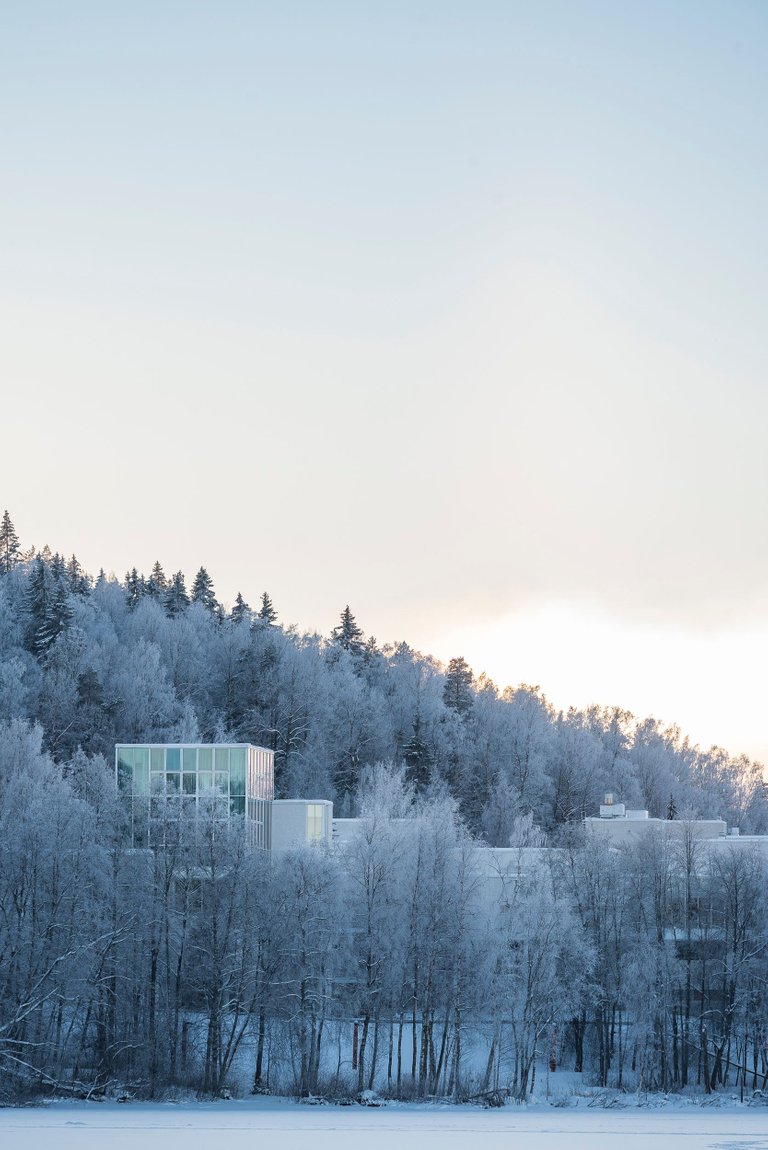 blue_sky_jyväsjärvi_jää_talvi_winter_wonderland_snow_ice_kuura_frost02.jpg
