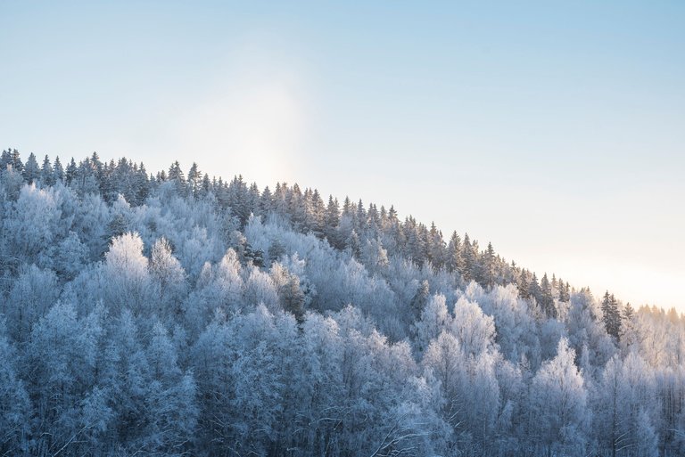 blue_sky_jyväsjärvi_jää_talvi_winter_wonderland_snow_ice_kuura_frost01.jpg