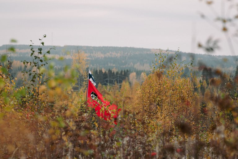 !05rallyfinland_autumn_rally.jpg