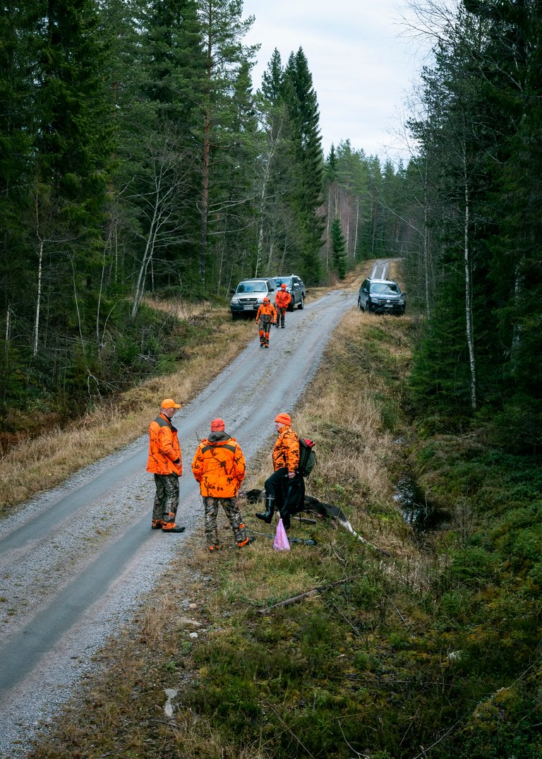 metästystä21.jpg