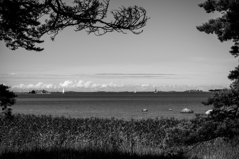 hanko_luontopolku_bw7.jpg