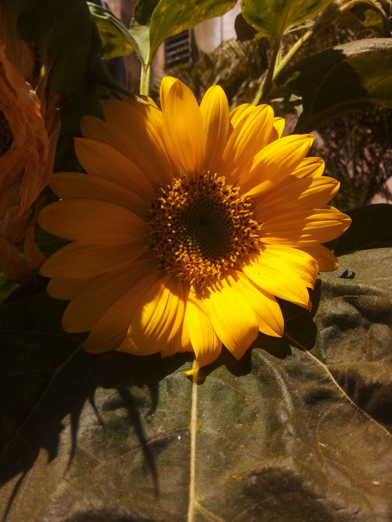 20230326_105748.jpg