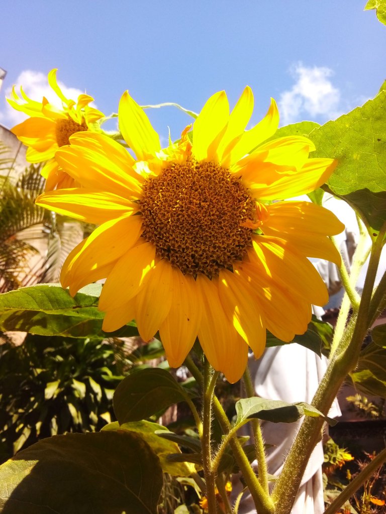 20230326_105903.jpg