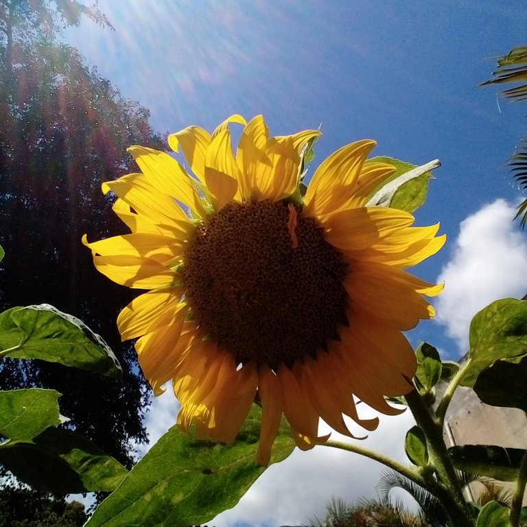 20230326_105721.jpg