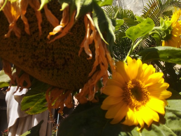 20230326_105808.jpg