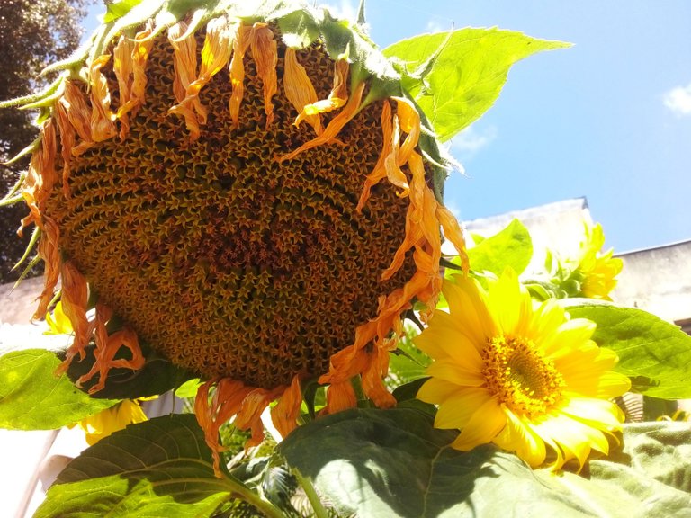 20230326_105817.jpg