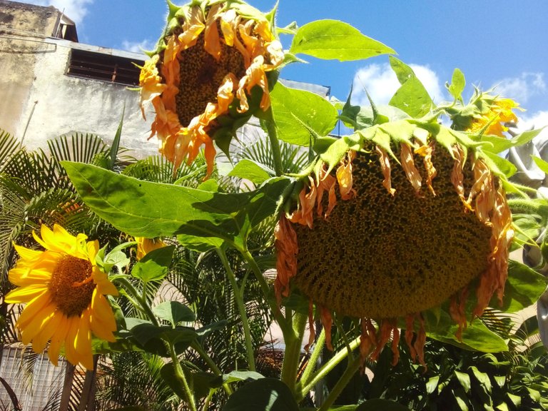 20230326_105858.jpg