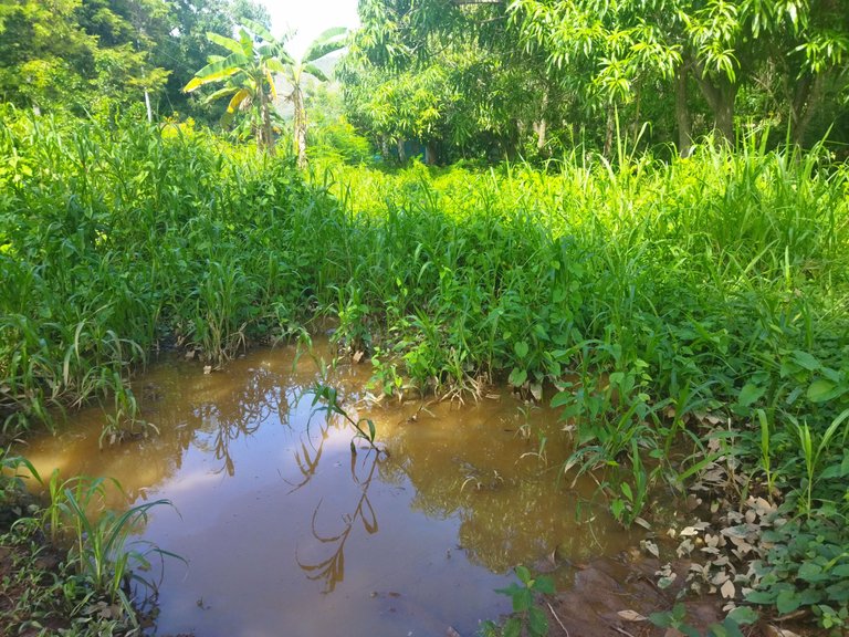 IMG_20250622_100420.jpg