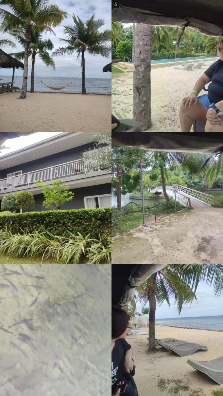 IMG_20250430_011630_240.webp