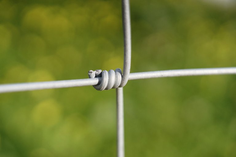 fence bokeh park.jpg