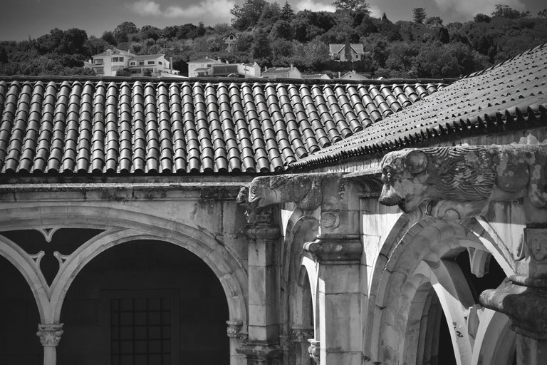 Alcobaca monastery top bw 8.jpg