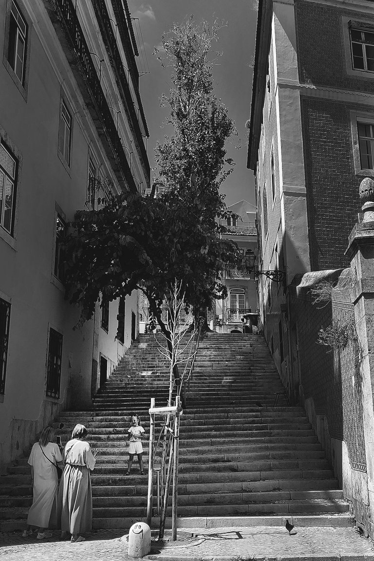 Lisbon streets August bw 7.jpg