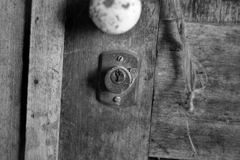 door helios bw 3.jpg