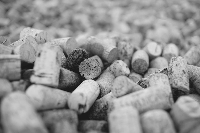 corks park zeiss bw 4.jpg