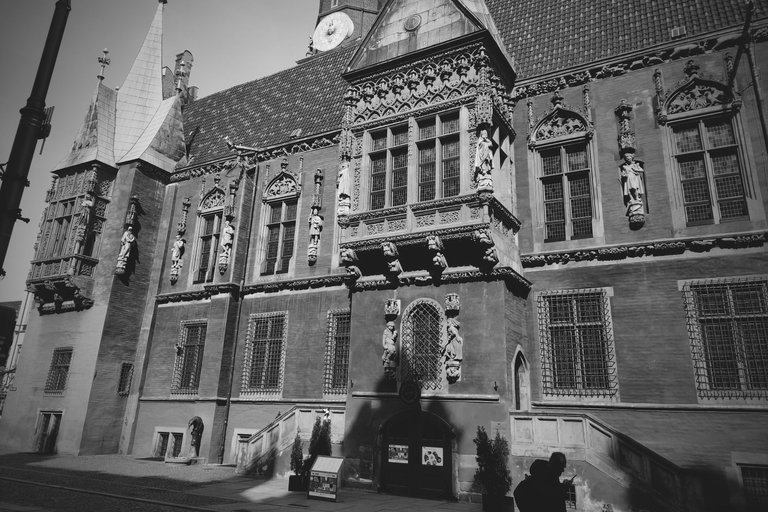 Wroclaw Town Hall bw 6.jpg