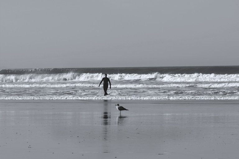 surfers beach bw 5.jpg