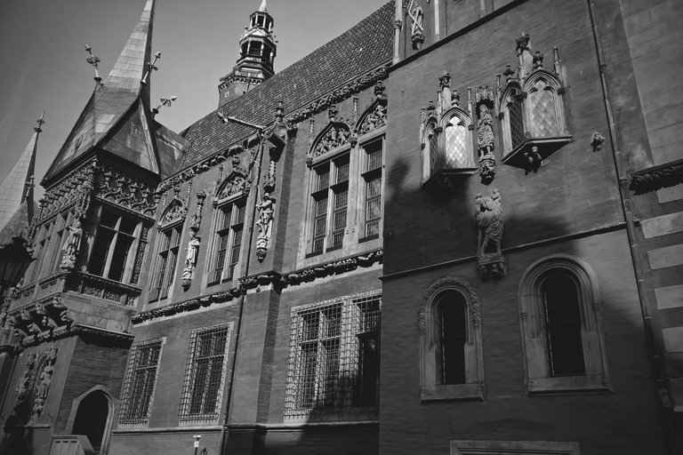 Wroclaw Town Hall bw 8.jpg