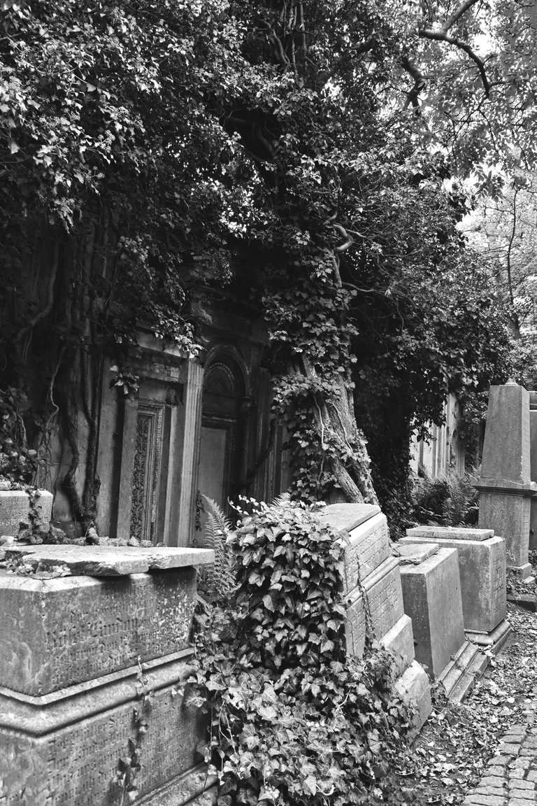 Old Jewish Cemetery bw 4.jpg