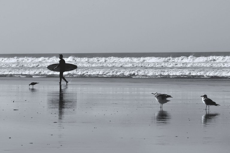 surfers beach bw 6.jpg