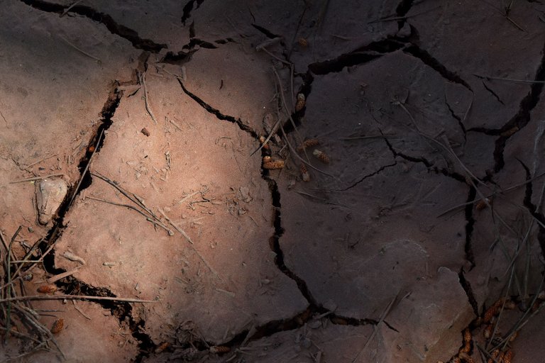 cracked soil.jpg